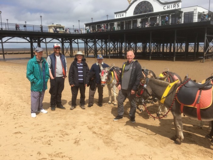 Five donkeys in Cleethorpes