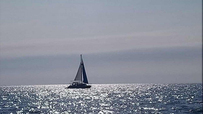 DSC_0804.JPG