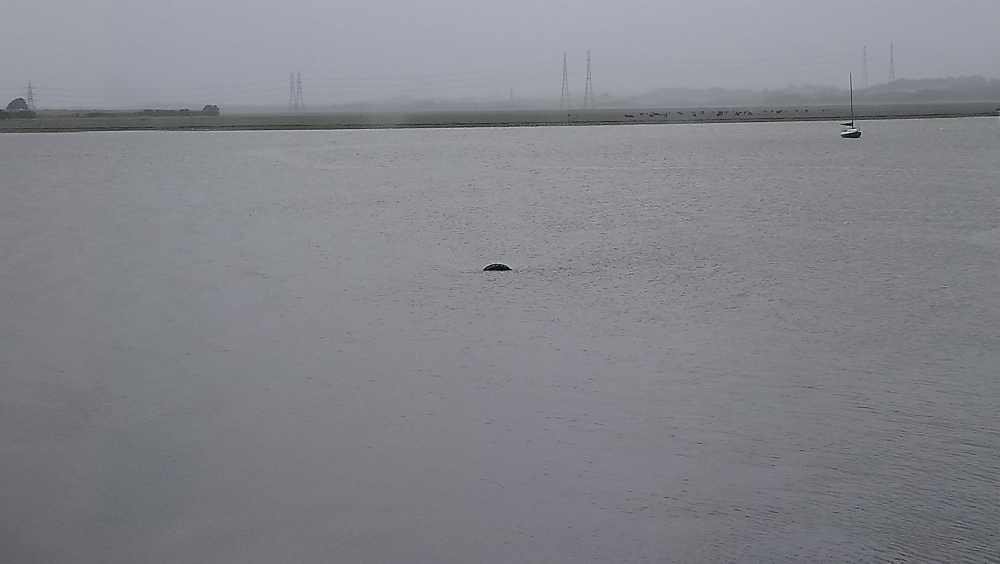 the Loch Lune Monster ?