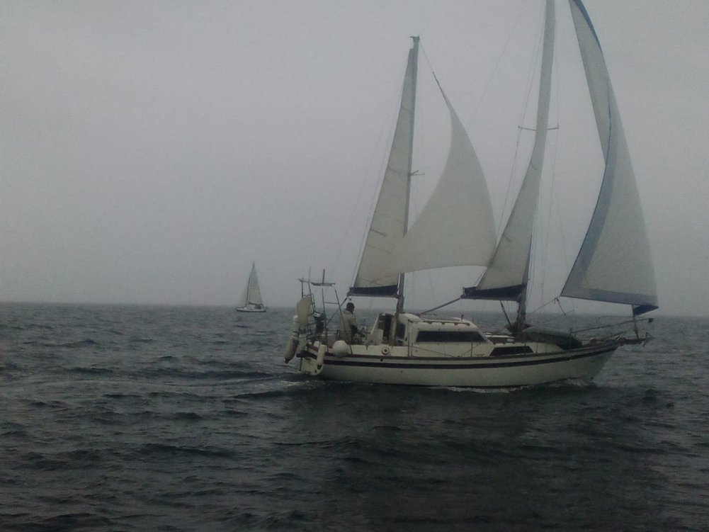 IMG-20200912-WA0001.jpg