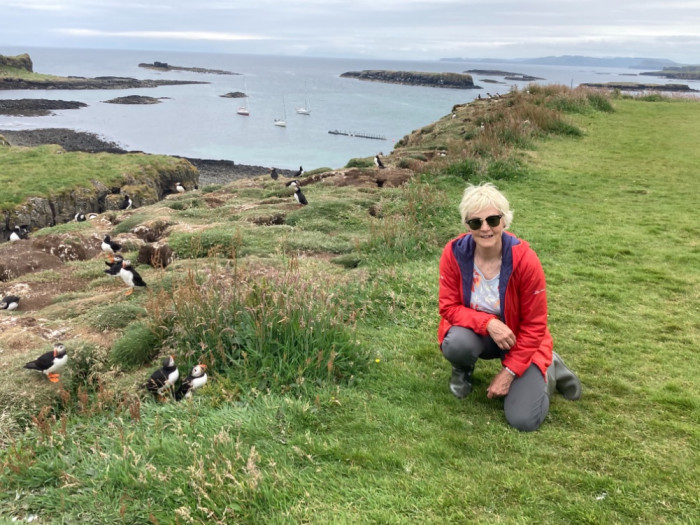 Puffins on Treshnish Isles